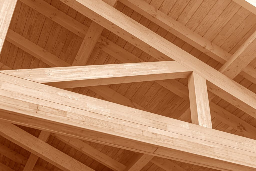 Holz-Dach 